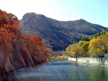 新澳天天开奖资料大全旅游团，电焊条生产设备